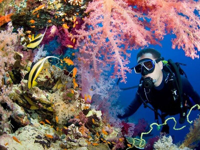 MEGA PROMOSYON BAŞTANBAŞA GİZEMLİ MISIR TURU HURGHADA GİDİŞ